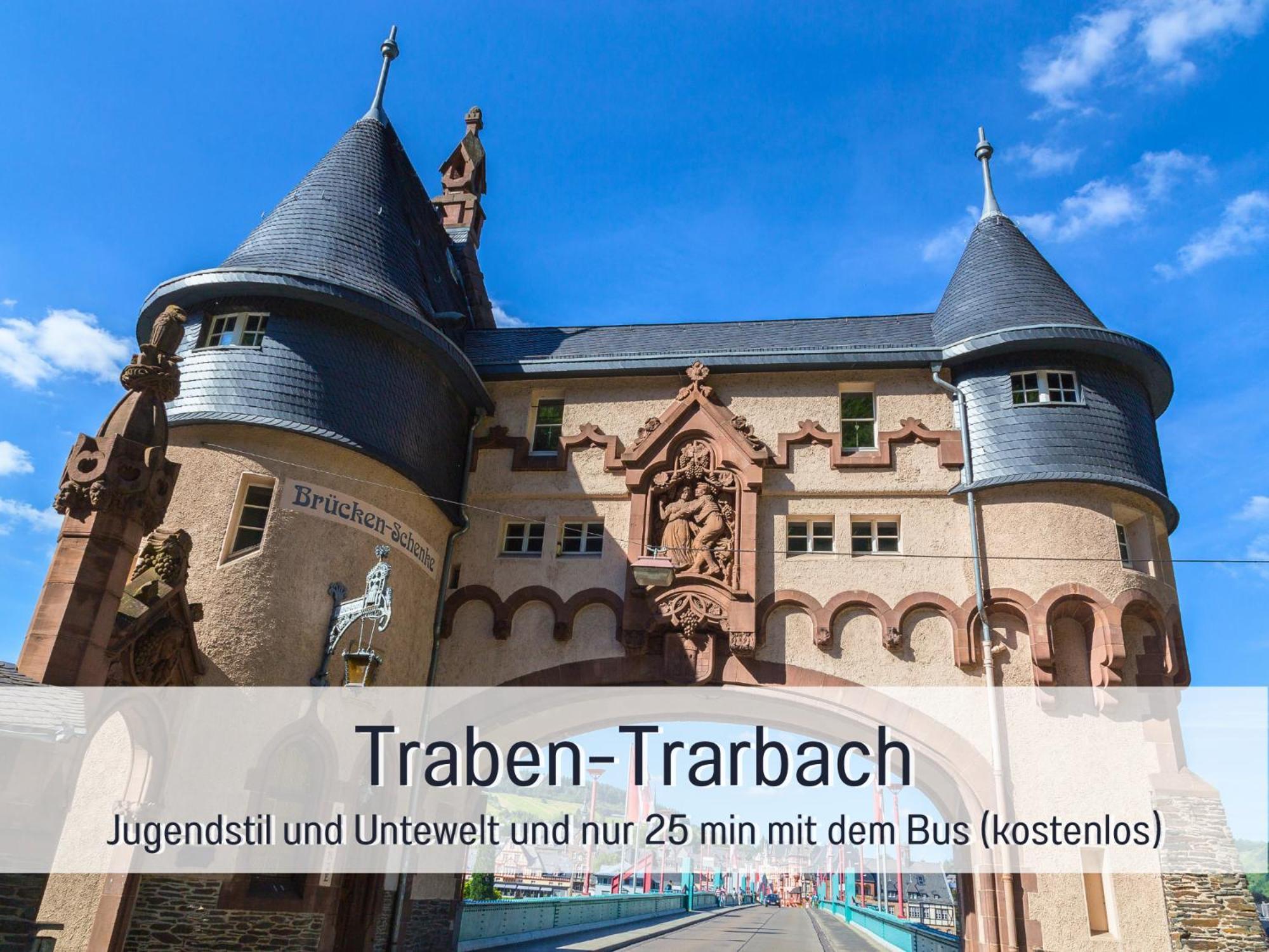 Ferienhaus Schwaab-Scherr, Genau Zwischen Bernkastel-Kues Und Traben-Trarbach, Mit Kostenlosem Oepnv-Ticket Fuer Bus Und Bahn, Parkplaetzen, Fahrradgarage Und Vielen Tipps Erden Exterior photo