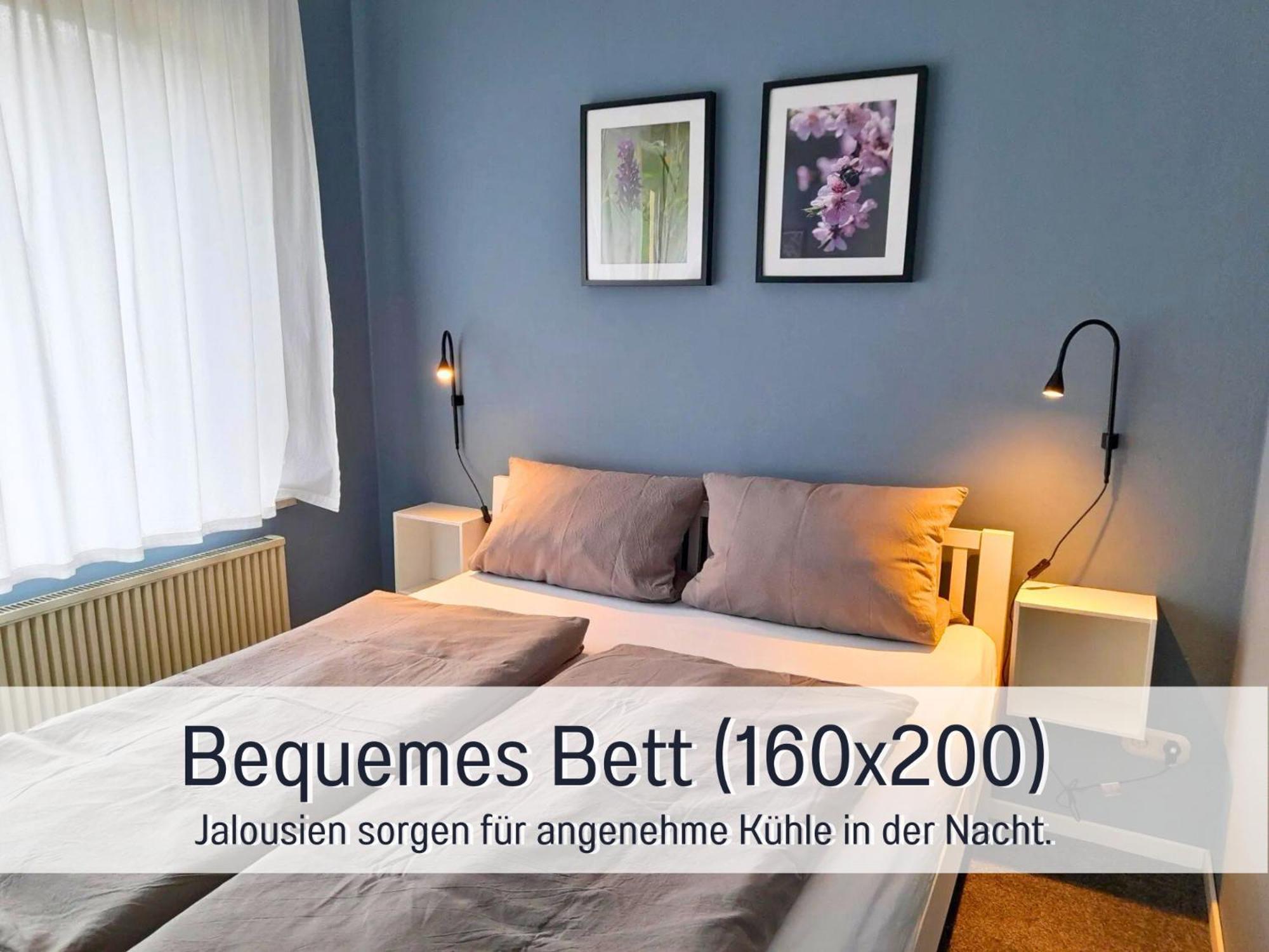 Ferienhaus Schwaab-Scherr, Genau Zwischen Bernkastel-Kues Und Traben-Trarbach, Mit Kostenlosem Oepnv-Ticket Fuer Bus Und Bahn, Parkplaetzen, Fahrradgarage Und Vielen Tipps Erden Exterior photo