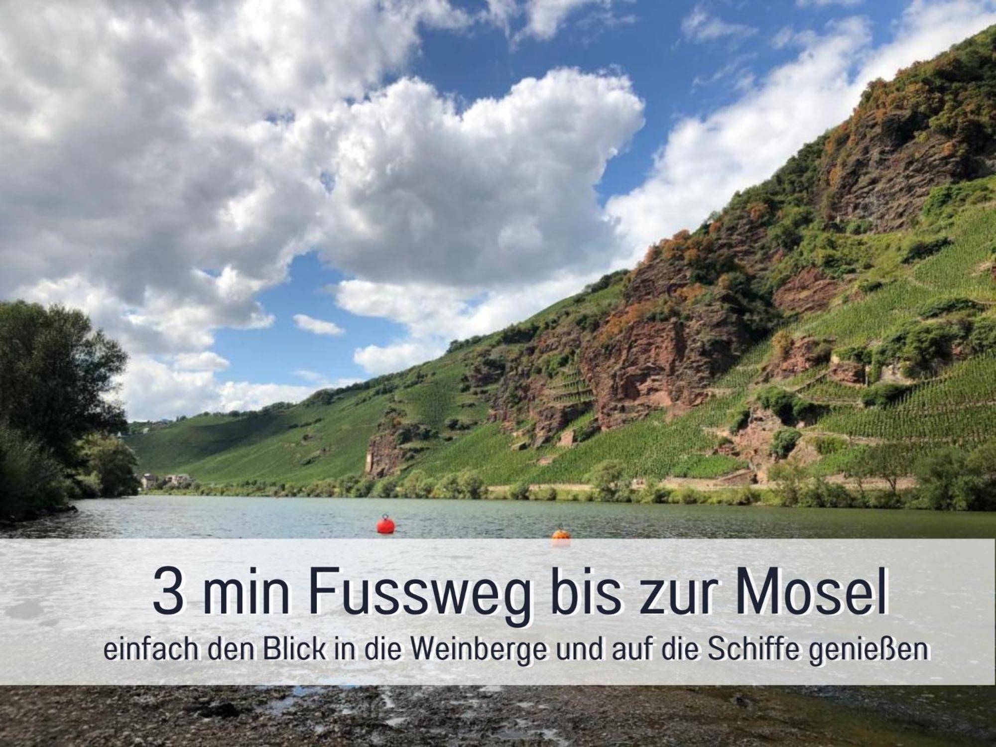 Ferienhaus Schwaab-Scherr, Genau Zwischen Bernkastel-Kues Und Traben-Trarbach, Mit Kostenlosem Oepnv-Ticket Fuer Bus Und Bahn, Parkplaetzen, Fahrradgarage Und Vielen Tipps Erden Exterior photo