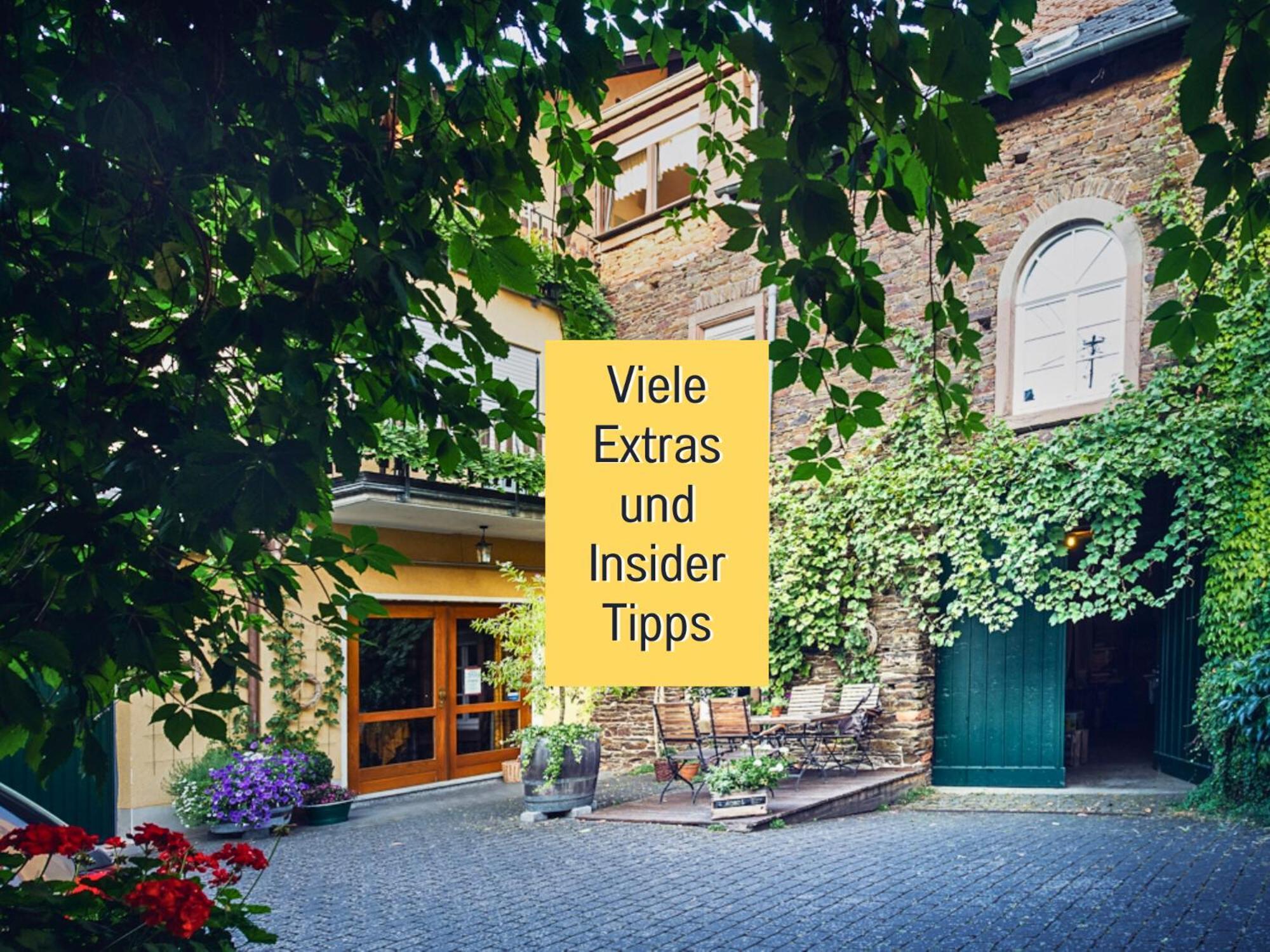 Ferienhaus Schwaab-Scherr, Genau Zwischen Bernkastel-Kues Und Traben-Trarbach, Mit Kostenlosem Oepnv-Ticket Fuer Bus Und Bahn, Parkplaetzen, Fahrradgarage Und Vielen Tipps Erden Exterior photo